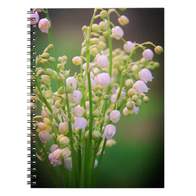 Cuaderno Lily del valle (Frente)