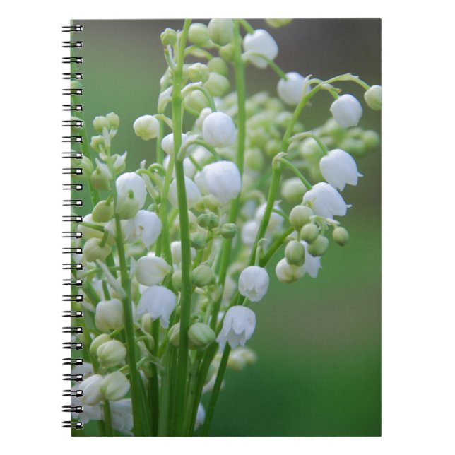 Cuaderno Lily del valle (Frente)