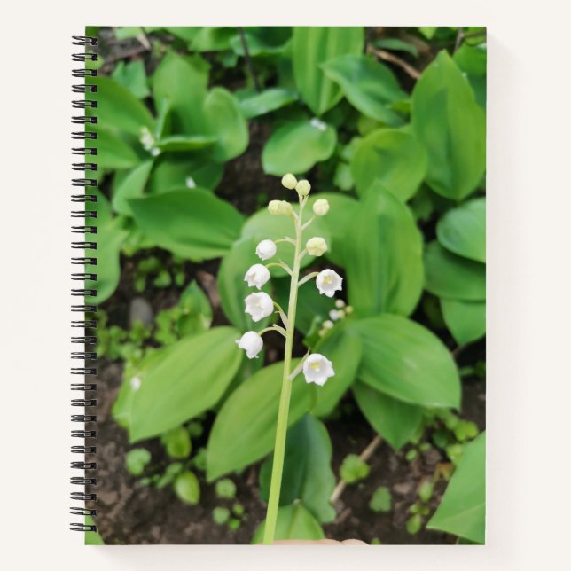 Cuaderno Lily of the Valley Flower (Anverso)