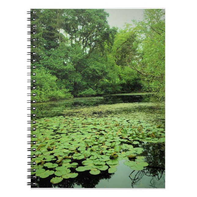 Cuaderno Lily Pads en el estanque (Frente)