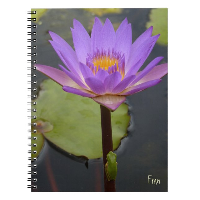 Cuaderno Lily y la rana (Frente)