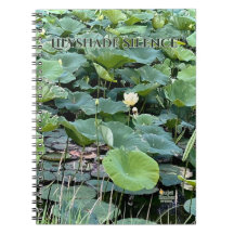 Lilyshade Silencio