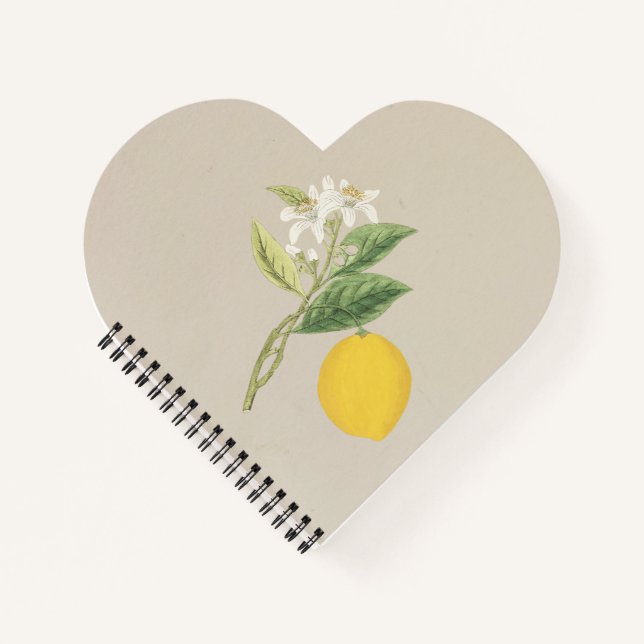 Cuaderno Limón dibujado a mano (Anverso)