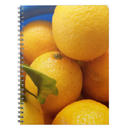Cuaderno Limones amarillos de Florida