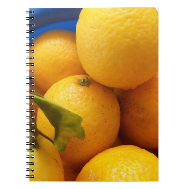 Cuaderno Limones amarillos de Florida (Frente)