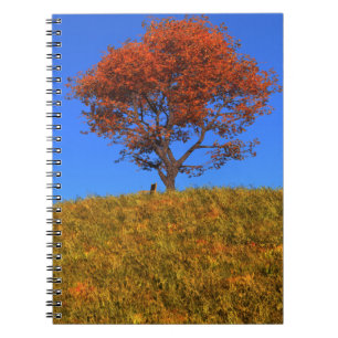 Cuaderno Limpiar bloc de notas del día de otoño