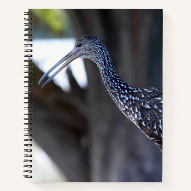 Cuaderno Limpkin, The Crying Bird (Anverso)
