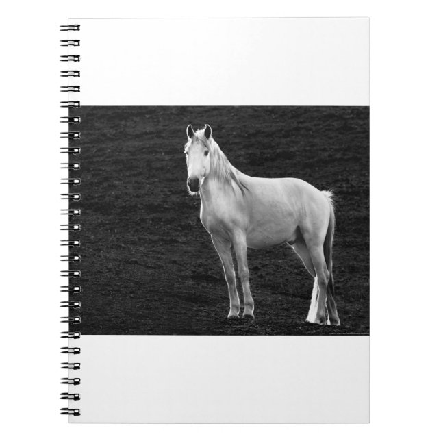 Cuaderno LIN10BW el Stance.tif (Frente)