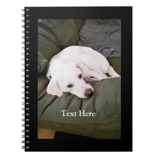 Cuaderno Lindo Cachorro Labrador Retriever Blanco Cansado M (Frente)