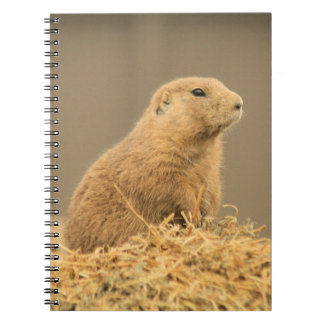 Cuaderno lindo de Aint I del perro de las praderas