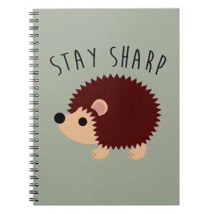 Cuaderno lindo del erizo