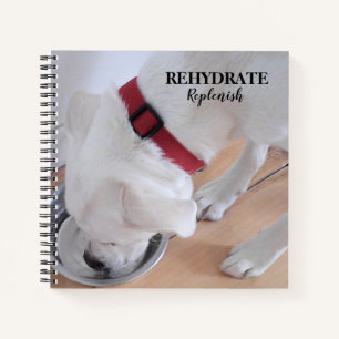 Cuaderno Lindo Labrador Blanco Mezcla de Perro Cachorro Beb