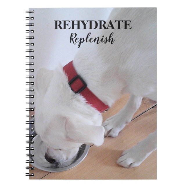 Cuaderno Lindo Labrador Blanco Mezcla de Perro Cachorro Beb (Frente)