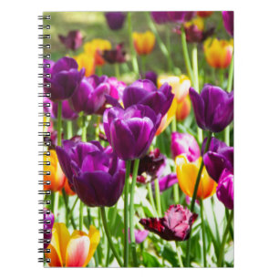 Cuaderno Lindos tulipanes morados y amarillos 