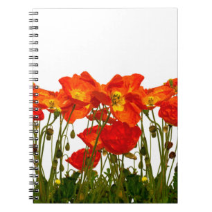 Cuaderno Línea de amapolas rojas aisladas arte, fondo, bell