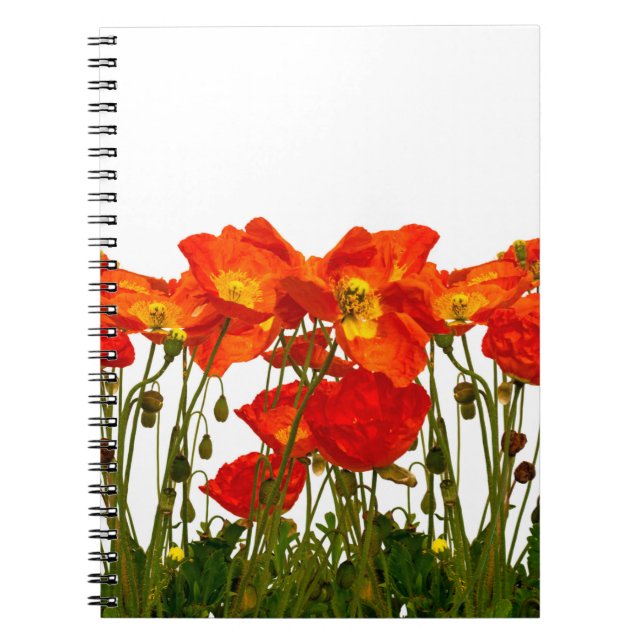 Cuaderno Línea de amapolas rojas aisladas arte, fondo, bell (Frente)