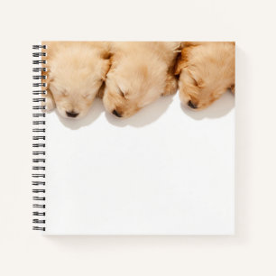 Cuaderno Línea de Cachorros Dorados Durmientes