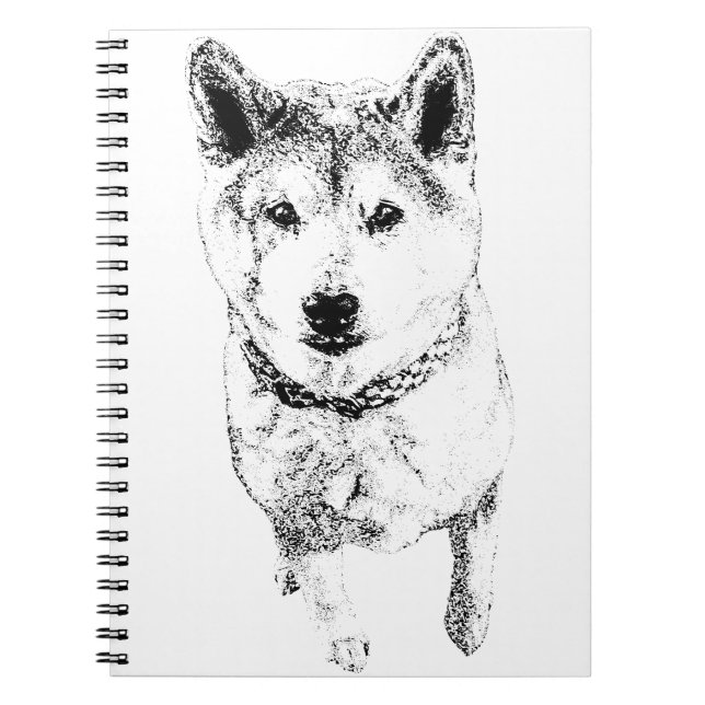 Cuaderno Líneas de atención (Frente)