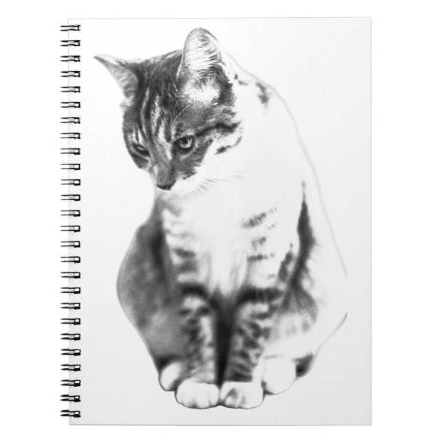 Cuaderno Líneas de gracia silenciosa (Frente)