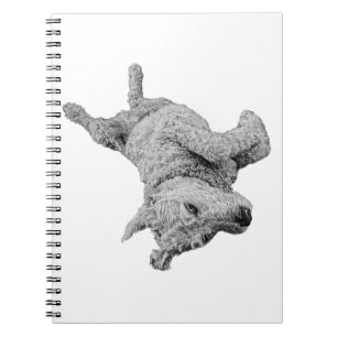 Cuaderno Líneas iluminadas