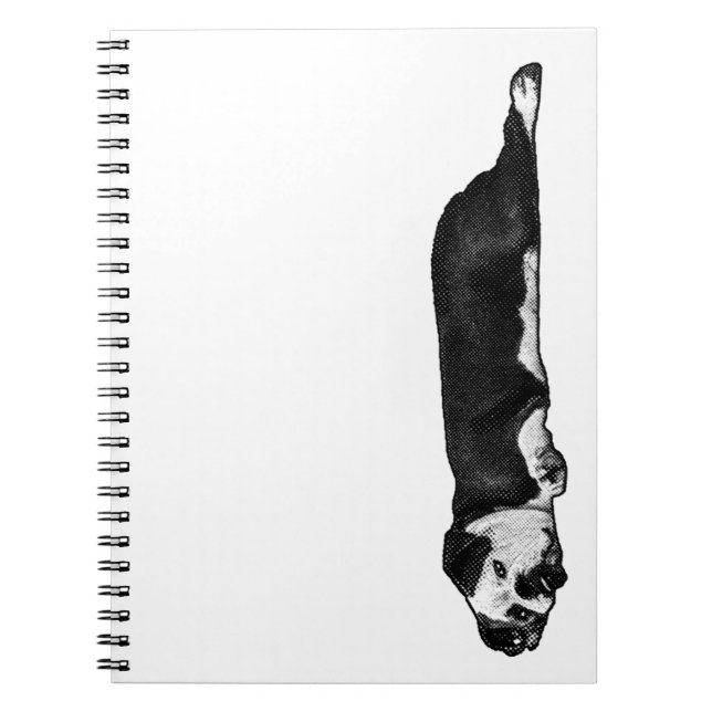 Cuaderno Líneas y pensamientos perezosos (Frente)