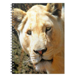Cuaderno Lion