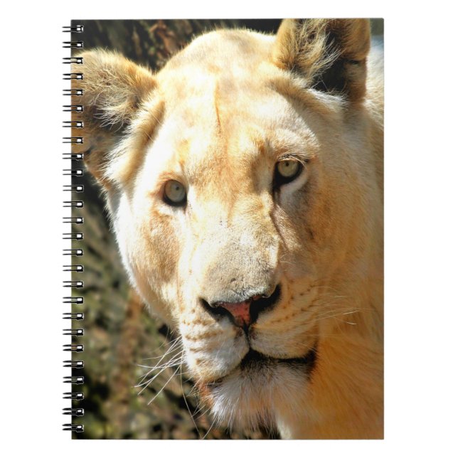 Cuaderno Lion (Frente)