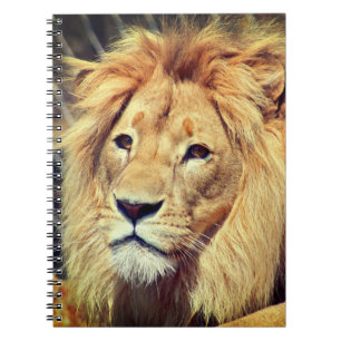 Cuaderno Lion