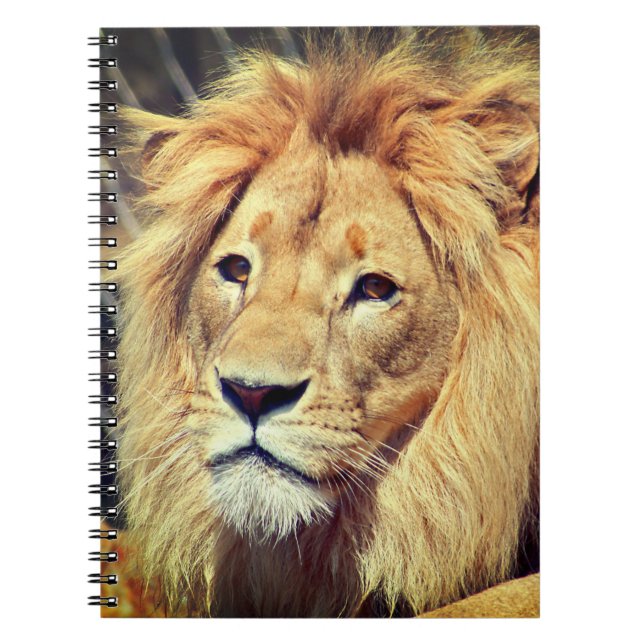 Cuaderno Lion (Frente)