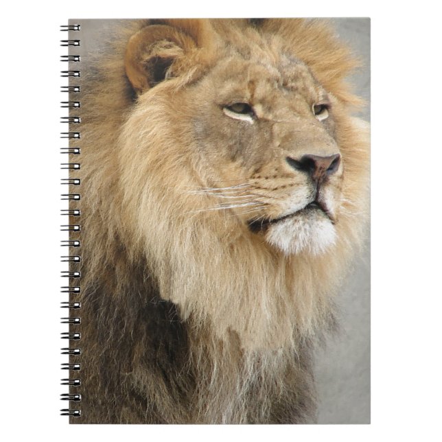 Cuaderno Lion Lovers Art (Frente)