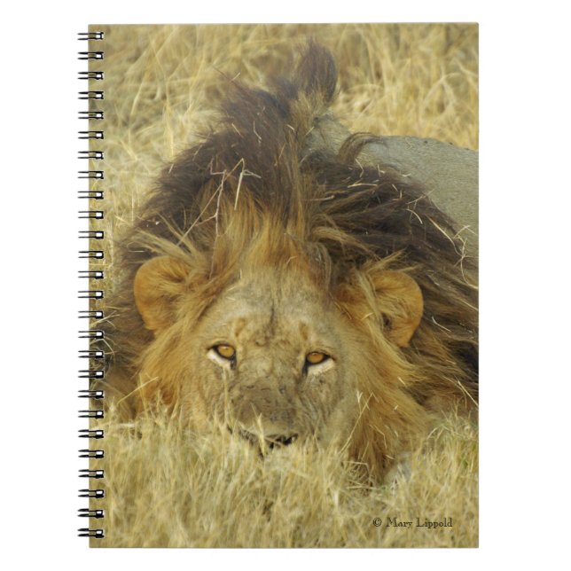 Cuaderno Lion Male (Frente)