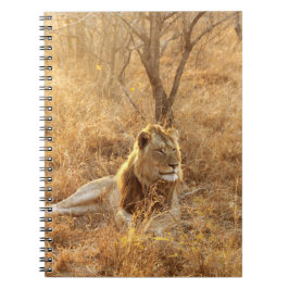 Cuaderno Lion Notebook