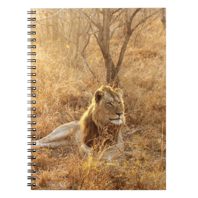 Cuaderno Lion Notebook (Frente)