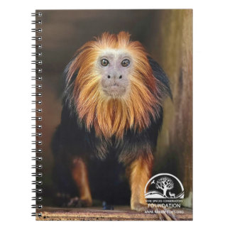 Cuaderno Lion Tamarin con cabeza de oro