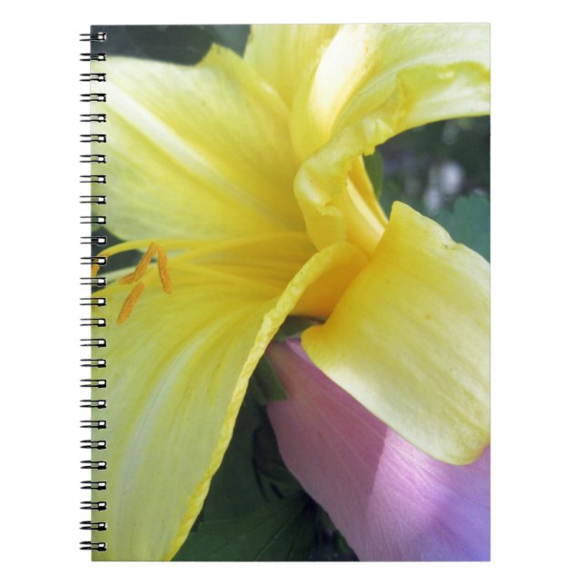 Cuaderno Lirio amarillo (Frente)