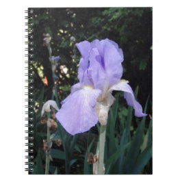 Cuaderno Lirio azul