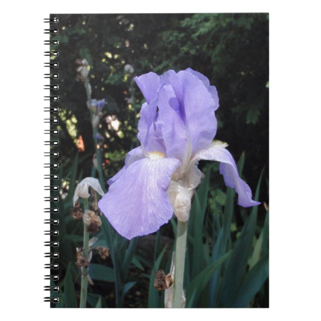 Cuaderno Lirio azul (Frente)