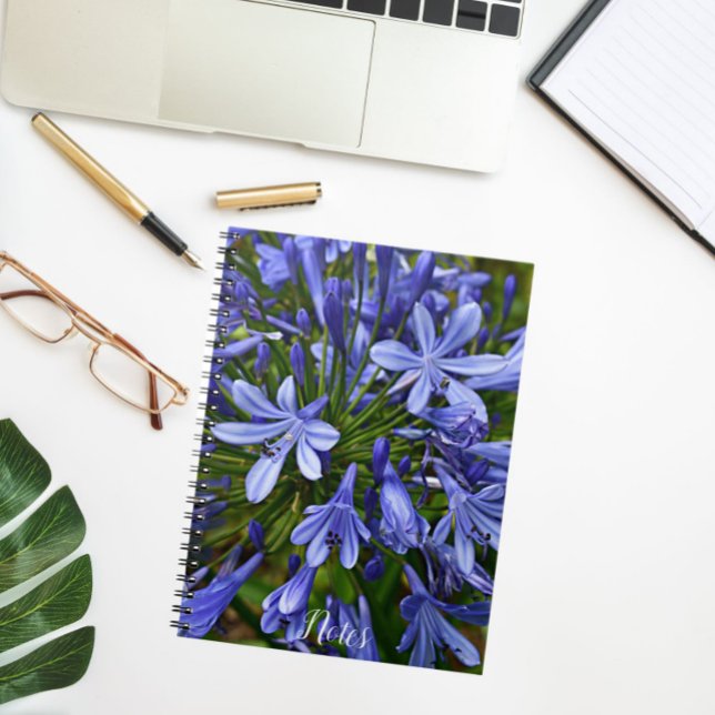 Cuaderno Lirio azul del Nilo Agapanthus Floral (In Situ)