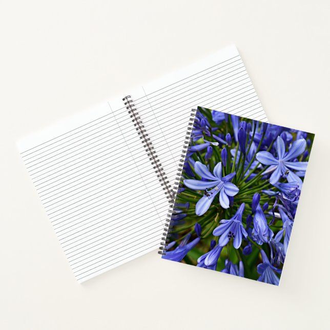 Cuaderno Lirio azul del Nilo Agapanthus Floral (Interior)