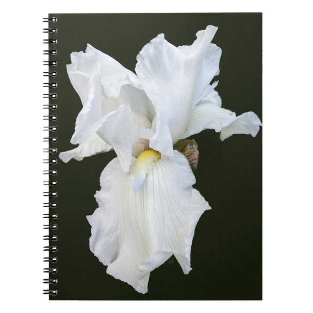 Cuaderno Lirio barbudo blanco sobre fondo negro (Frente)