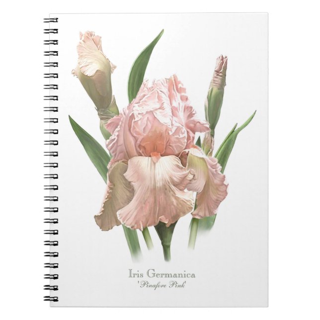 Cuaderno Lirio barbudo rosa (Frente)