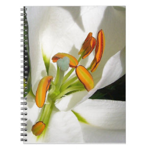 Cuaderno Lirio blanco