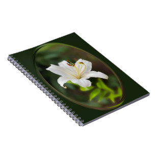 Cuaderno Lirio blanco brillante