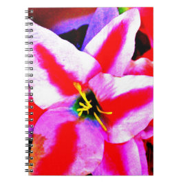 Cuaderno Lirio Brillante