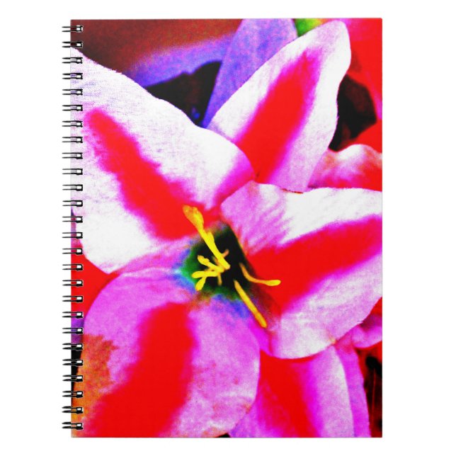 Cuaderno Lirio Brillante (Frente)