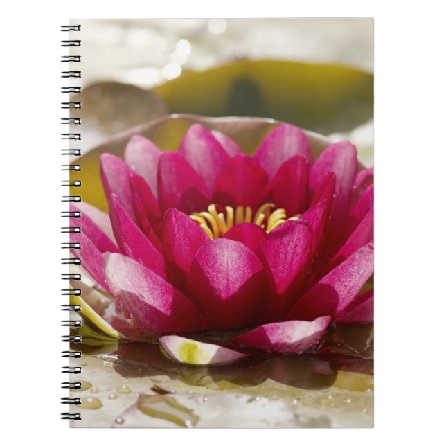 Cuaderno Lirio de agua (Frente)