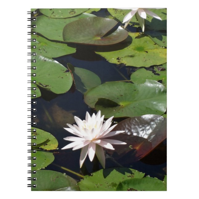 Cuaderno Lirio de agua (Frente)