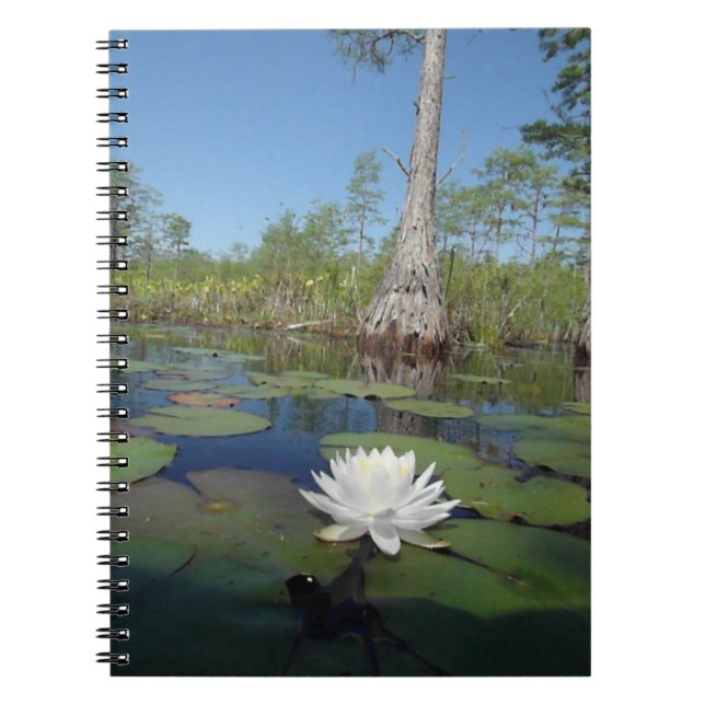 Cuaderno Lirio de agua 2 (Frente)