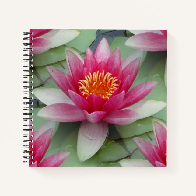 Cuaderno Lirio de agua de Lotus rosa (Anverso)