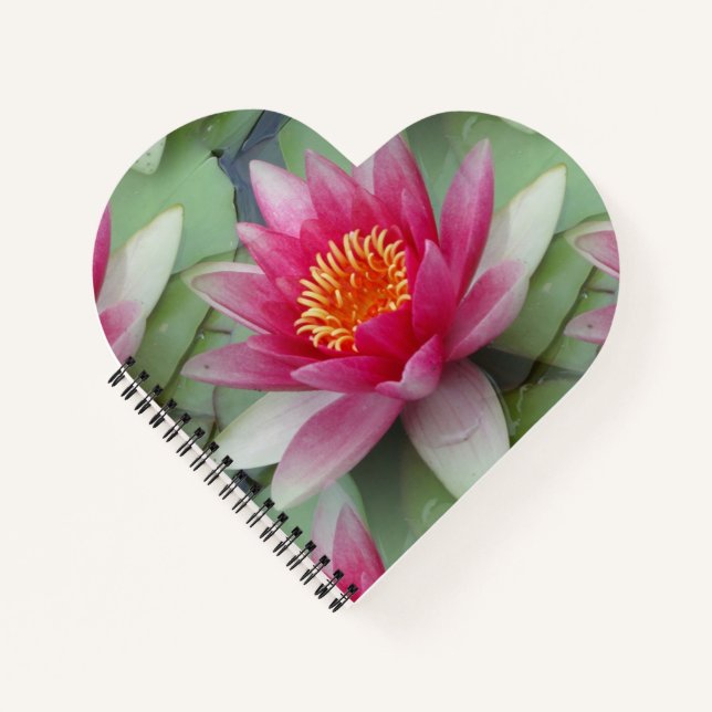 Cuaderno Lirio de agua de Lotus rosa (Anverso)